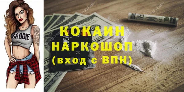 соль ск Дмитров