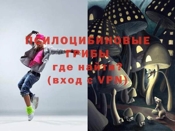 ешки Елизово
