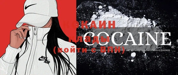 соль ск Дмитров