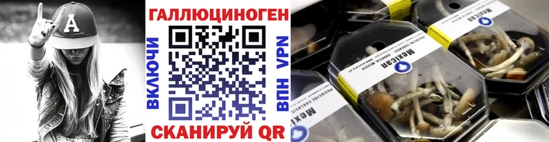 где купить наркотик OMG ССЫЛКА Псилоцибиновые грибы ЛСД Красноуральск